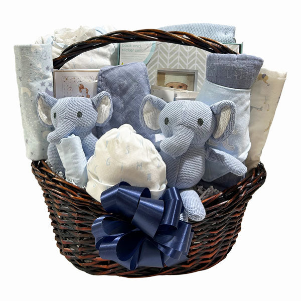 Authentic Baby Boy Bundle