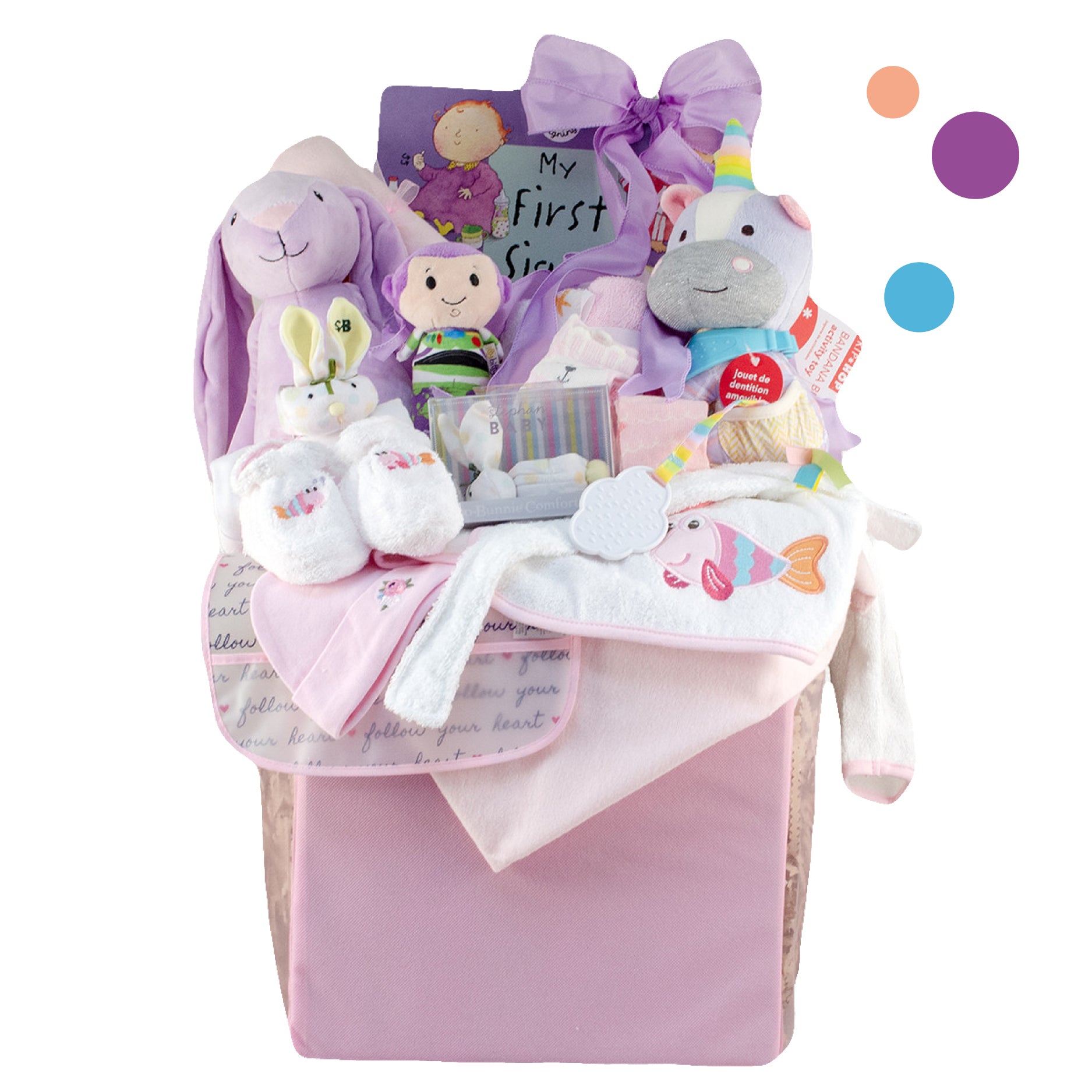 Bundle of Joy Baby Girl Gift Basket - Stork Baby Gift Baskets