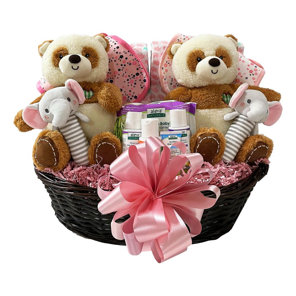 Family Baby Girl Gift Basket  Stork Baby Gift Baskets –