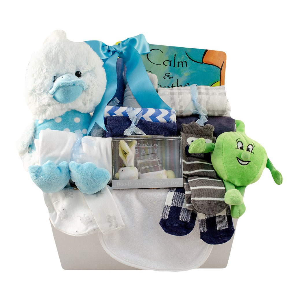 Caldecott Books Themed Baby Gift Basket Unisex for Baby Boys and Girls –  Gifts Fulfilled