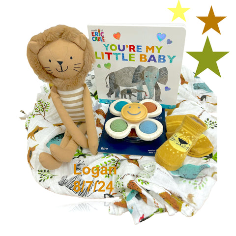 Baby Einstein Books Basket - SKU: BBC320