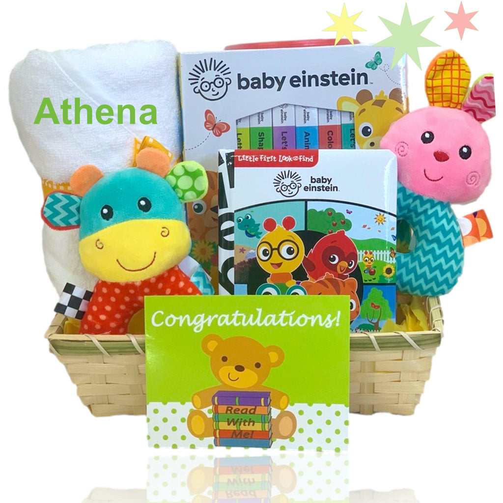 Teddy Bear Picnic Baby Gift Set - Baby Gift Basket - United States